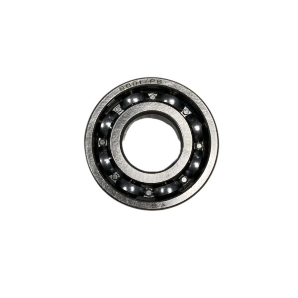 rolinera 6001