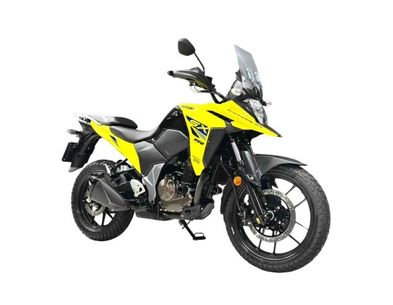 Suzuki V Strom DS250 SX